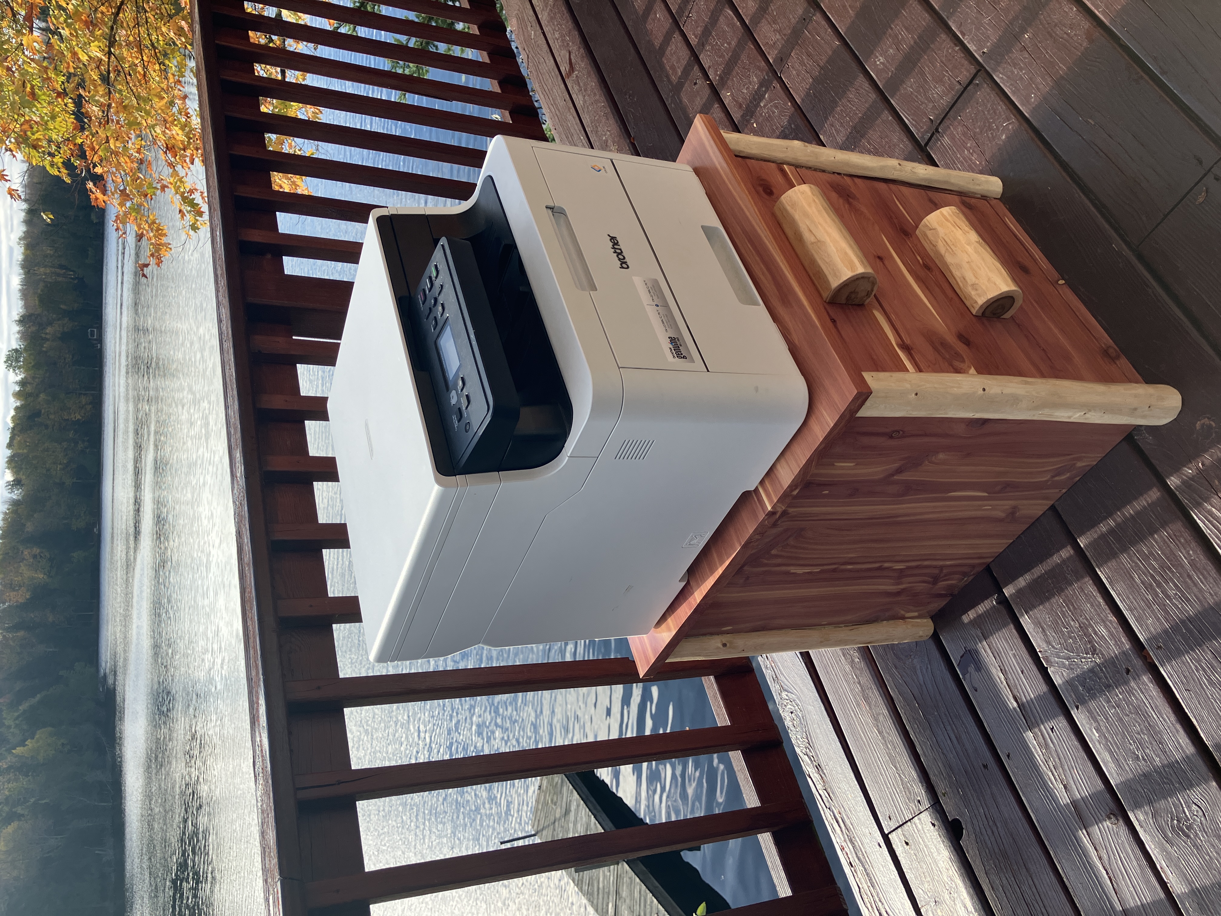 Printer table cabinet with printer on top