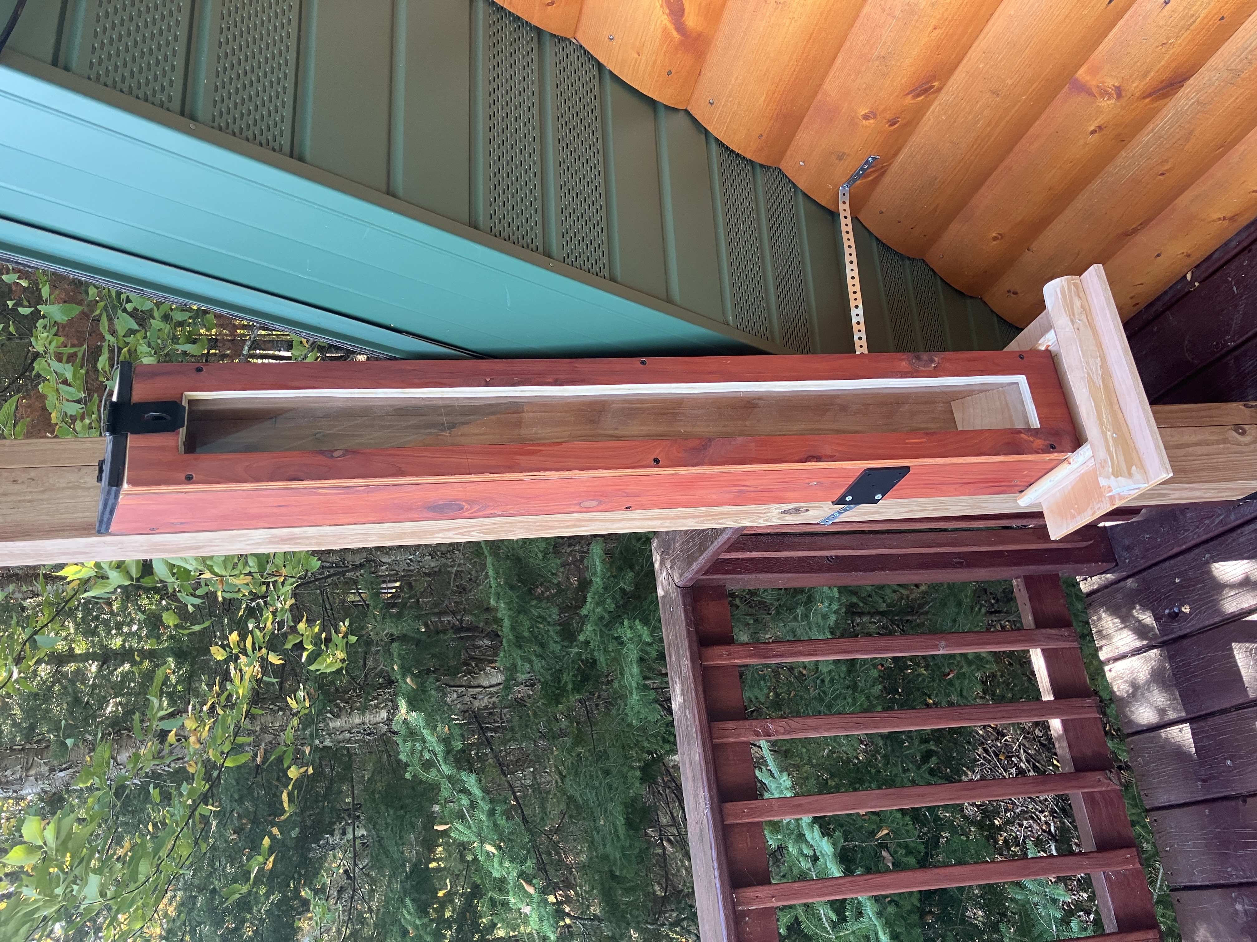 Close-up view of squirrel feeder