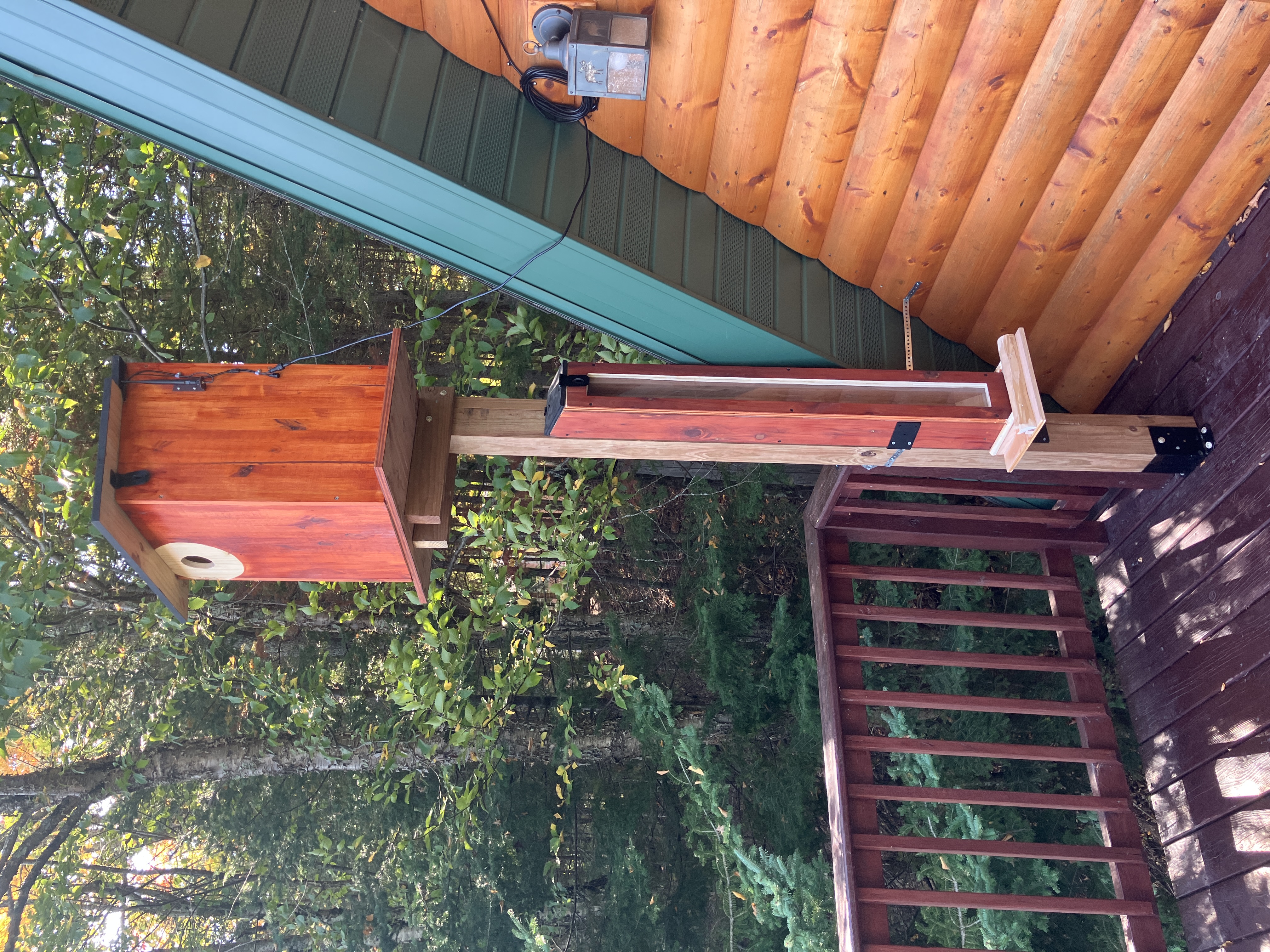 Squirrel feeder mounted on squirrel house