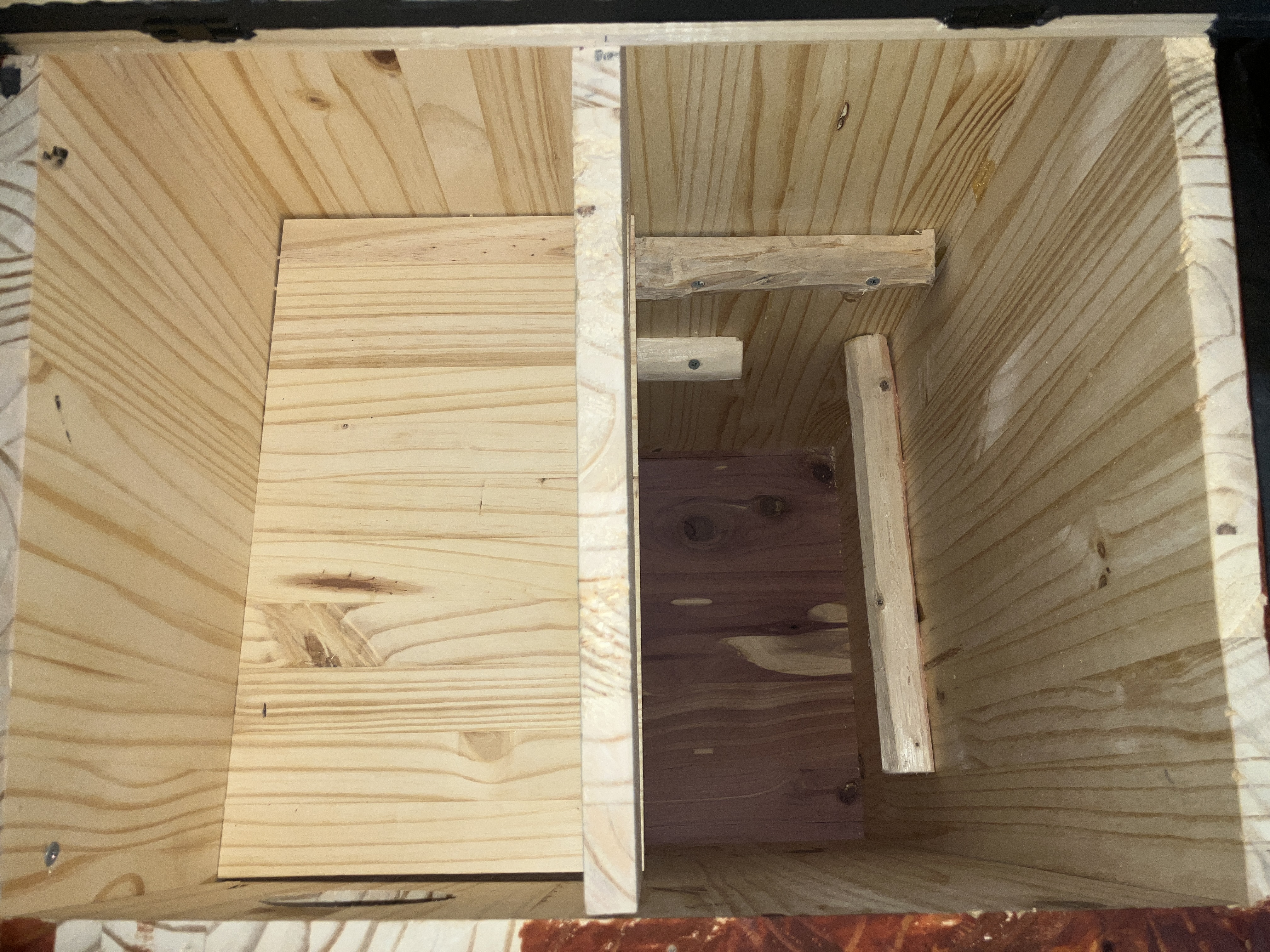 Two-chamber squirrel house with entrance on left and sleeping chamber below