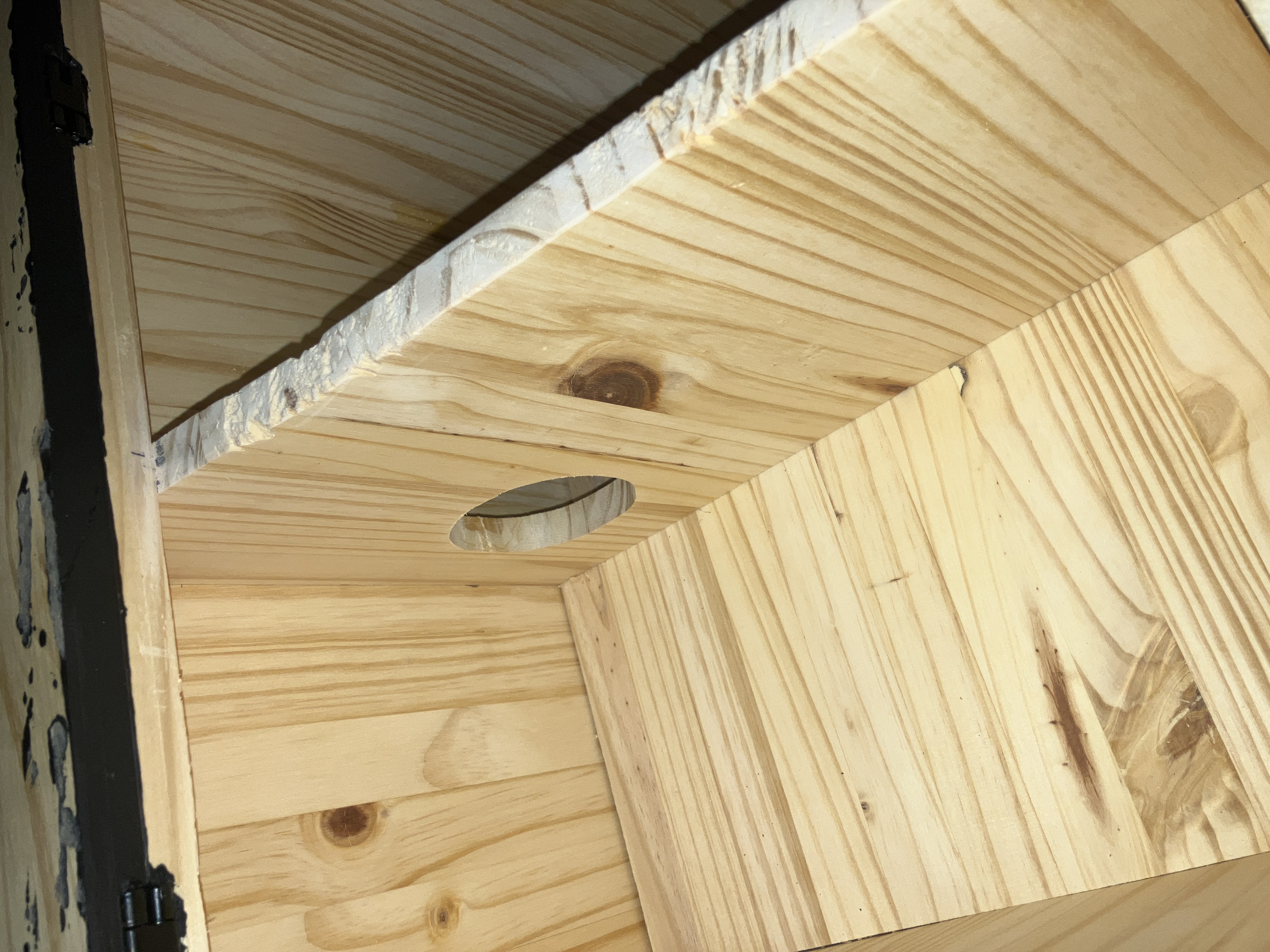 Entrance chamber of squirrel house