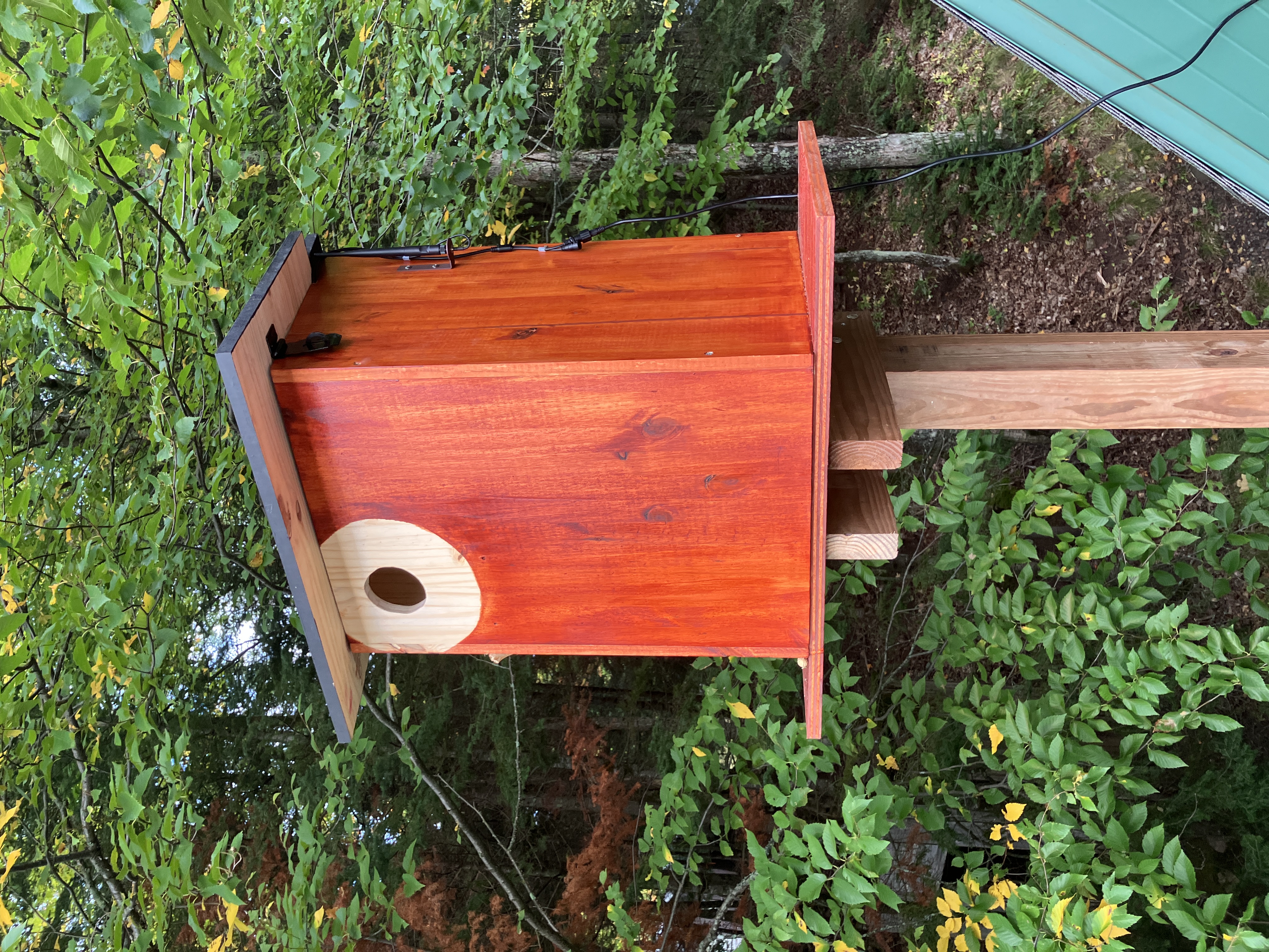 Squirrel house mounted on post