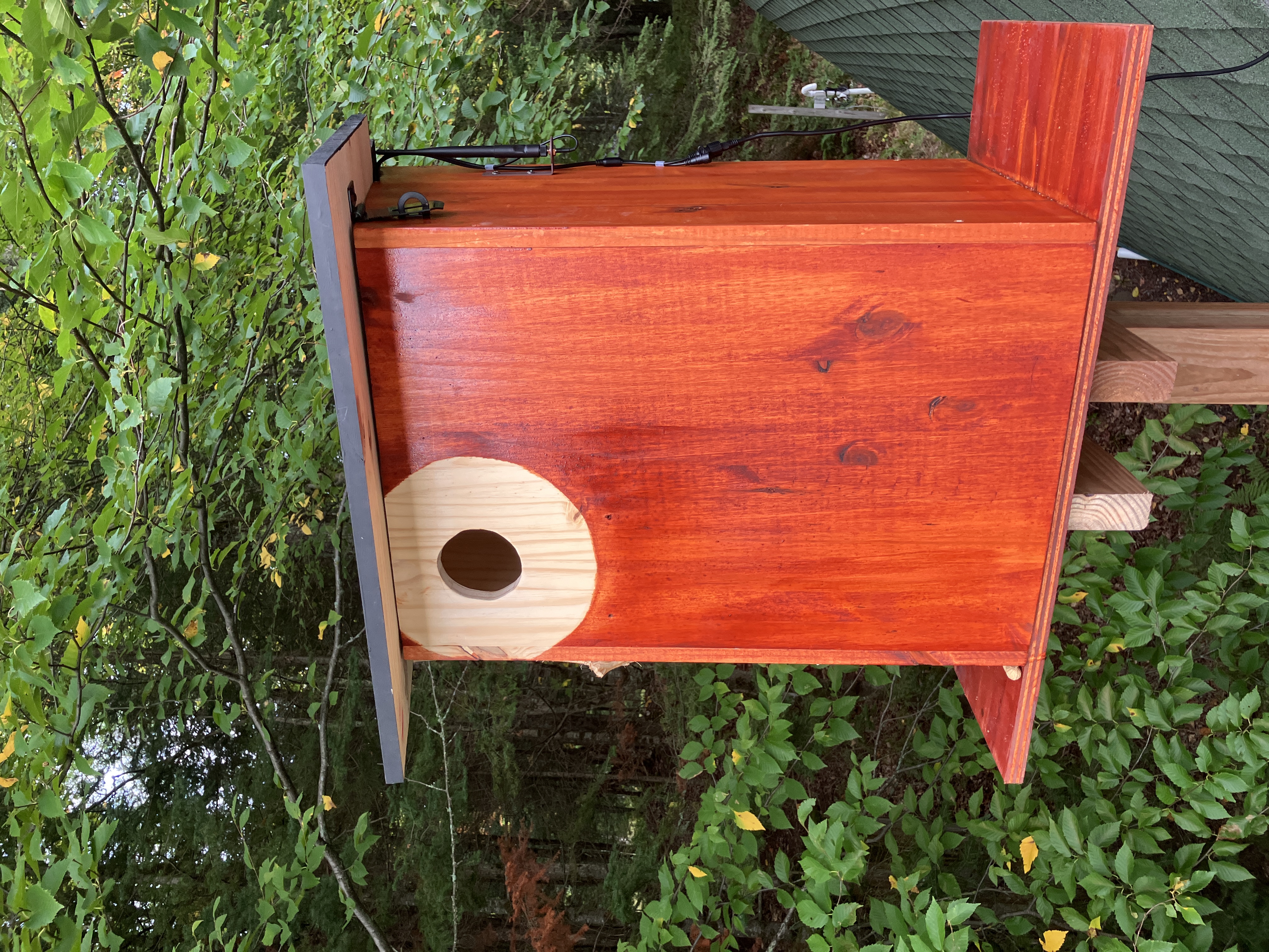 Close-up of squirrel house