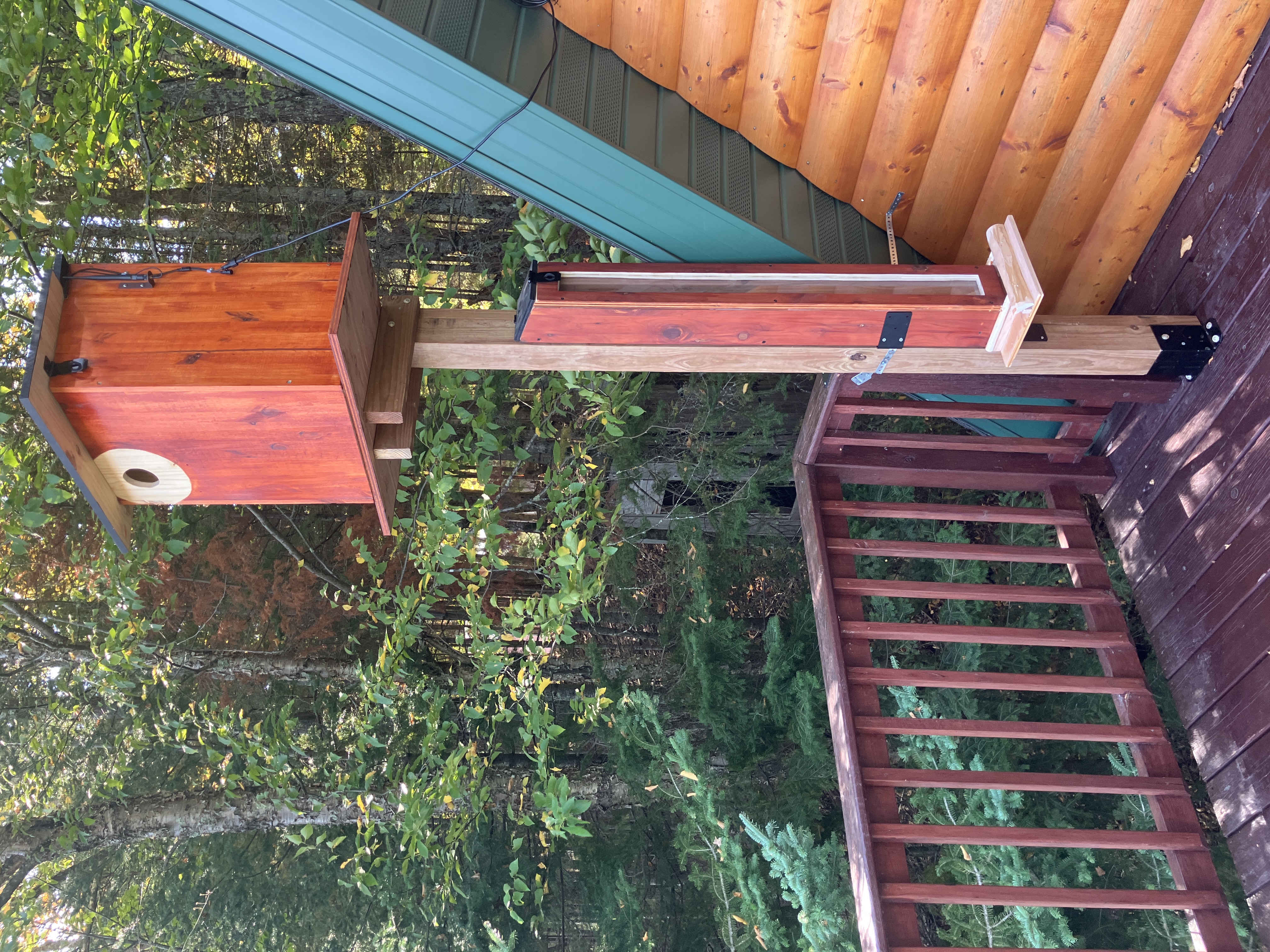 Combined squirrel house and squirrel feeder together